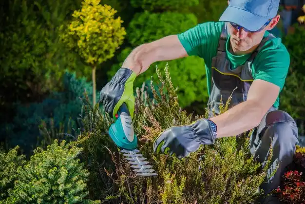 landscaping services Humansville